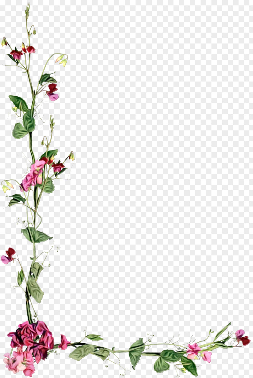 Floral Design PNG