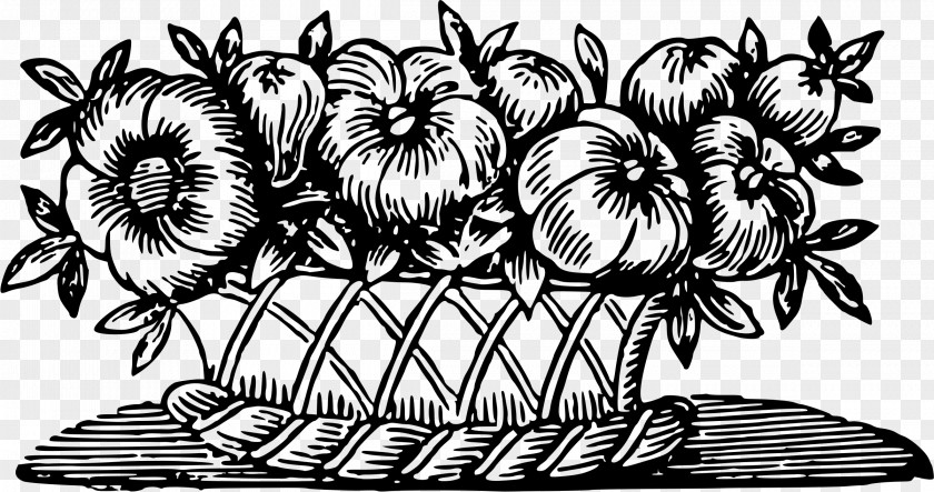 Flower Drawing Black And White Basket Clip Art PNG