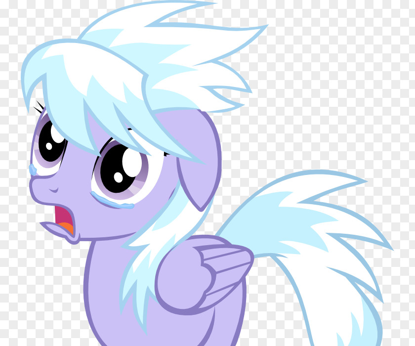 My Little Pony Rainbow Dash Rarity Pinkie Pie Twilight Sparkle PNG