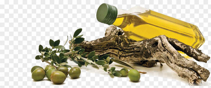 Olive Oil Spanish Cuisine Greek PNG