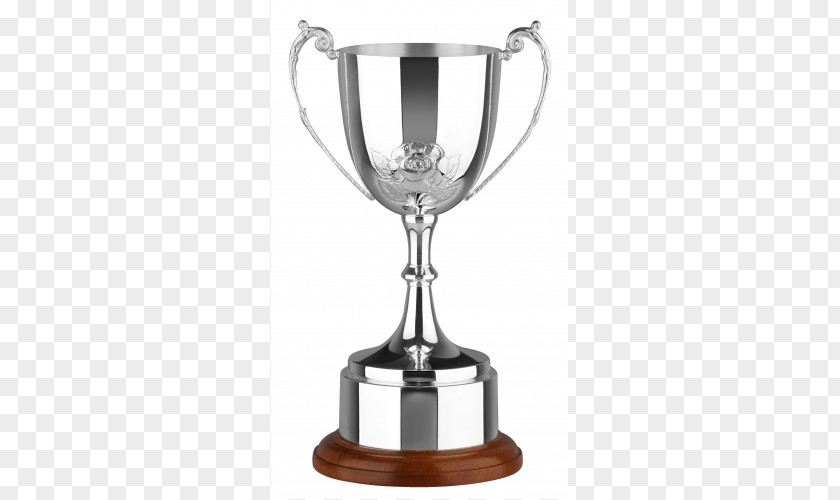 Silver Trophy Award Cup Plating PNG