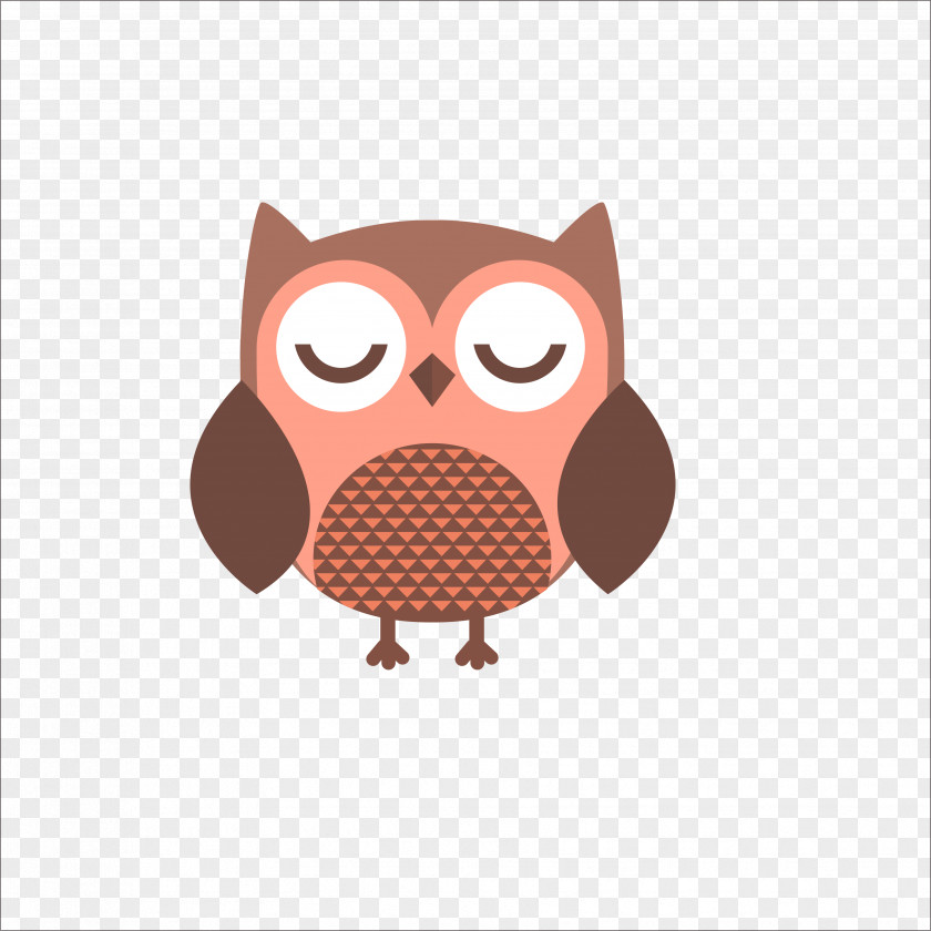 Flat Owl Bird PNG