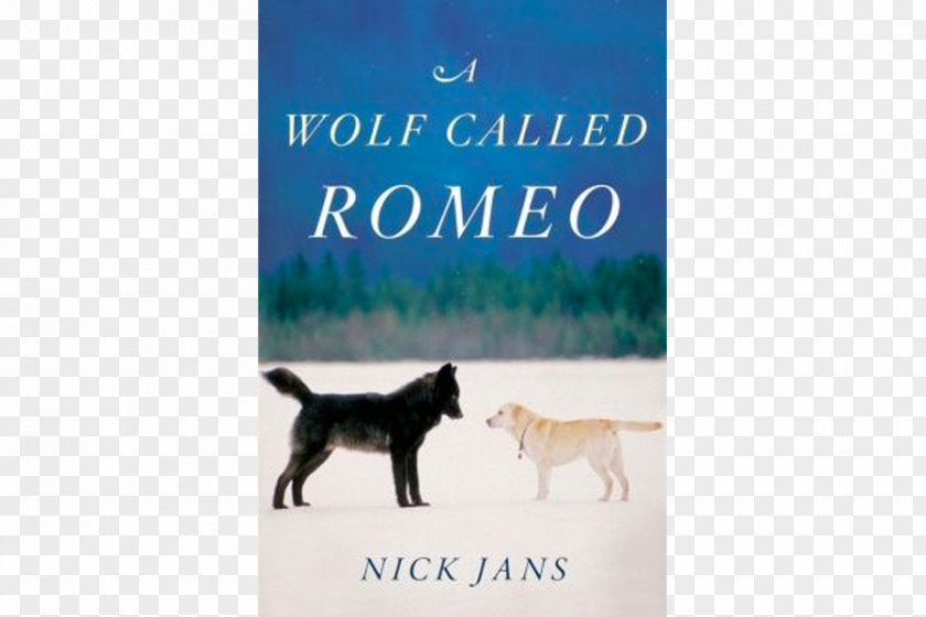 Book A Wolf Called Romeo Labrador Retriever Canidae Black PNG