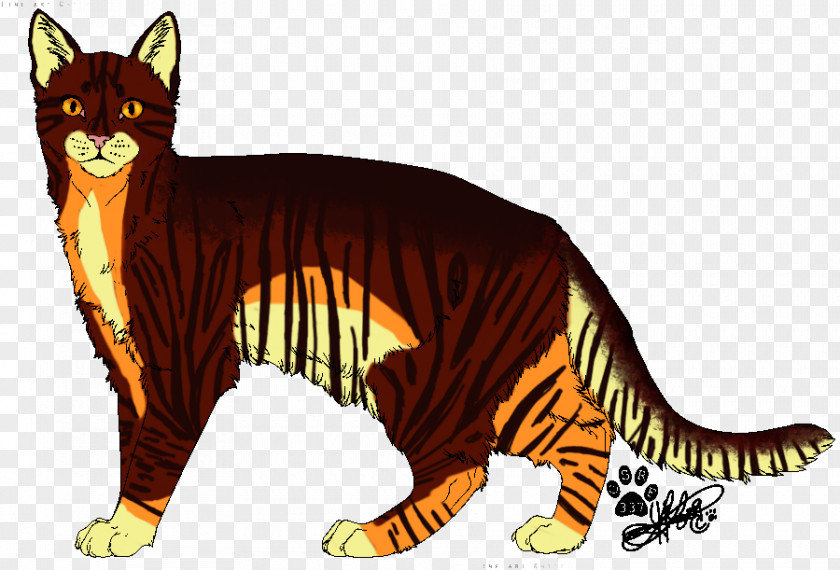 Cat Whiskers Wildcat Tiger Red Fox PNG