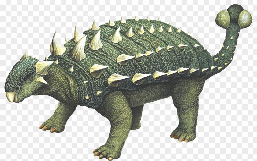 Dinosaur Euoplocephalus Stegosaurus Kentrosaurus Triceratops Ankylosaurus PNG