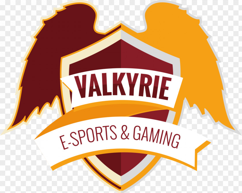 Dota 2 Electronic Sports Video Game Valkyrie PNG