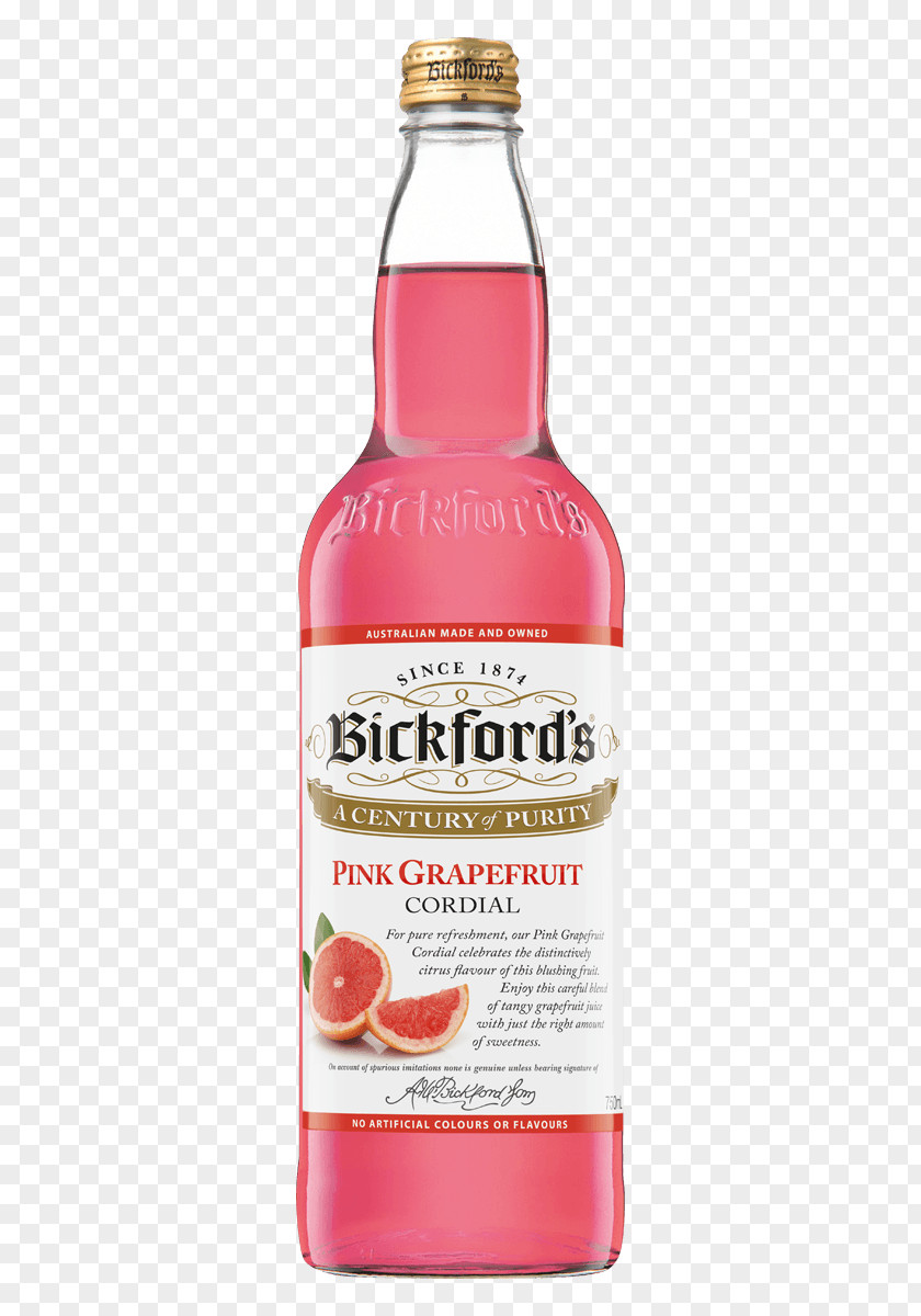 Grapefruit Juice Liqueur Squash Lemonade PNG