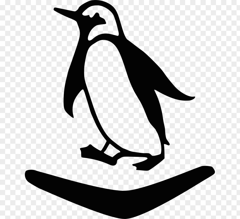 Penguin Second World War Douchegordijn Fauna Clip Art PNG
