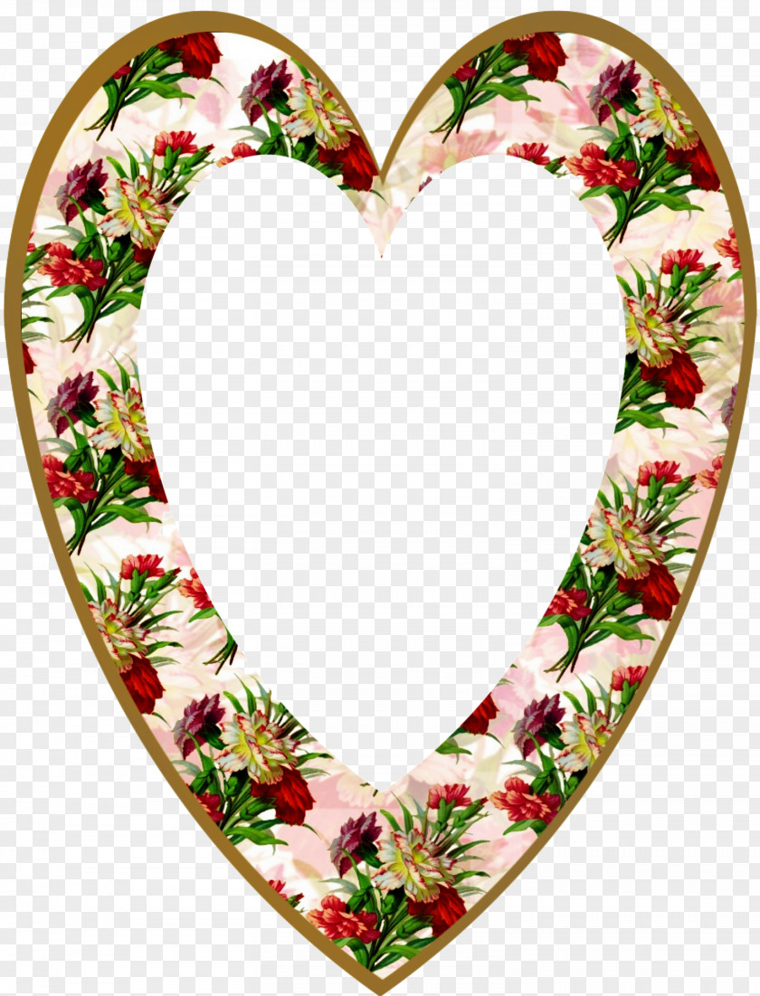 Photography Picture Frames Cut Flowers PNG