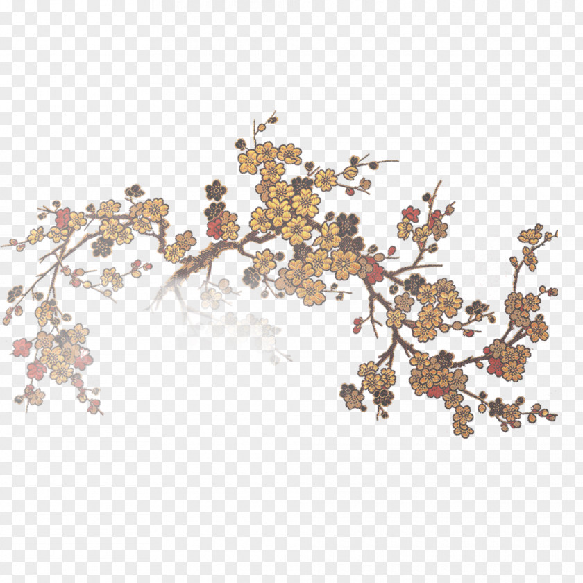 Plum Flower Yellow Blossom Red PNG