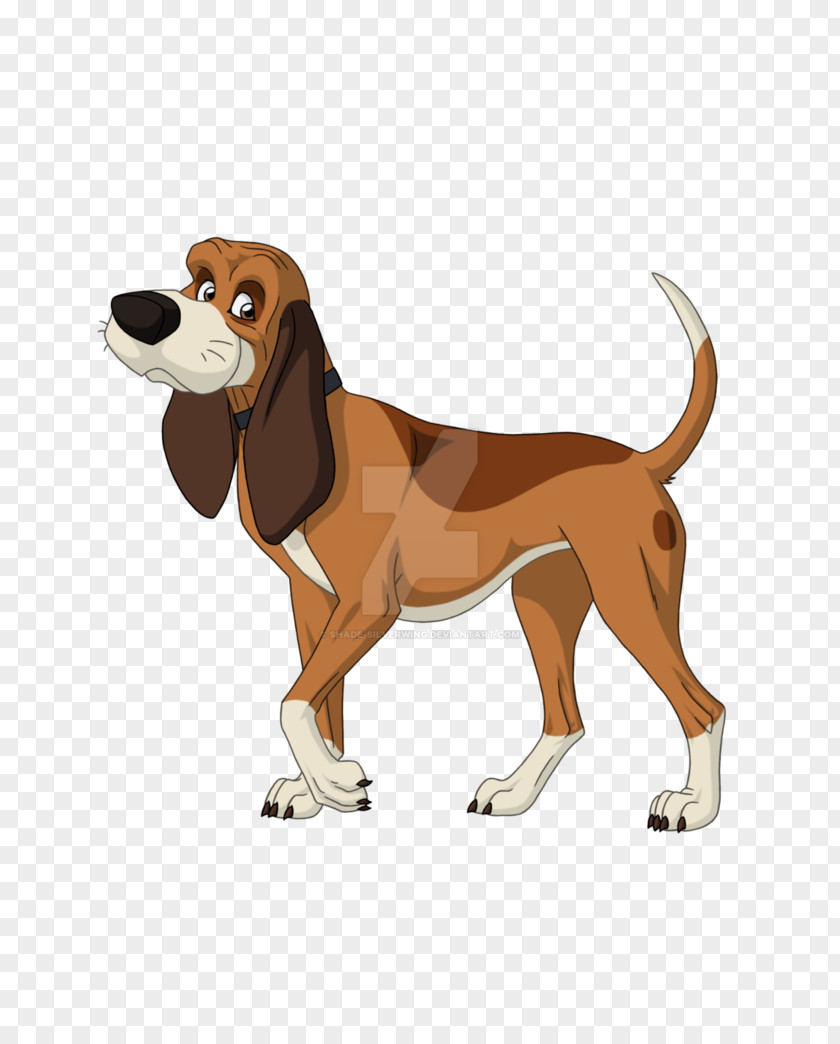 Poster Shading English Foxhound Harrier Treeing Walker Coonhound Beagle Black And Tan PNG