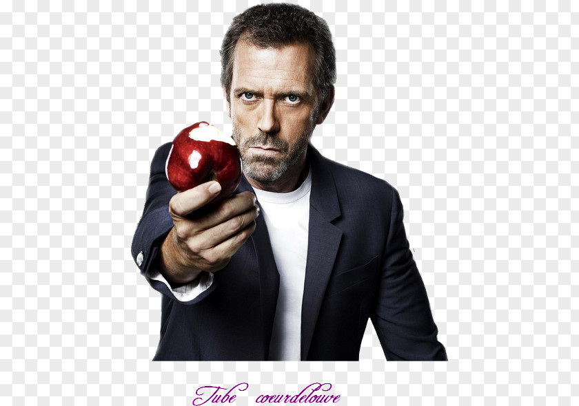 Season 1 Television ShowHugh Laurie Hugh Dr. Gregory House PNG