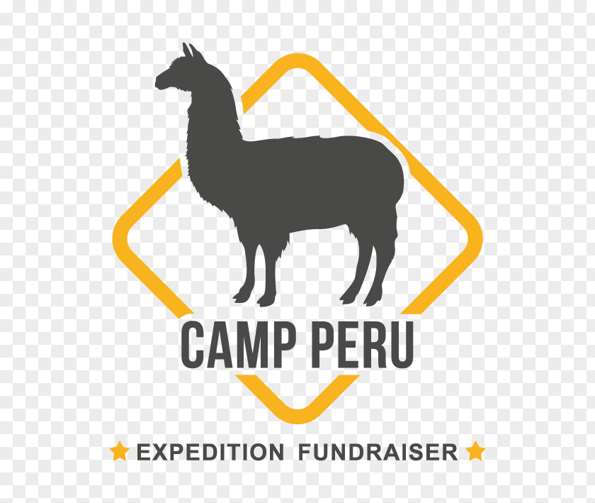 Travel Peru Kenya Camps International Llama PNG
