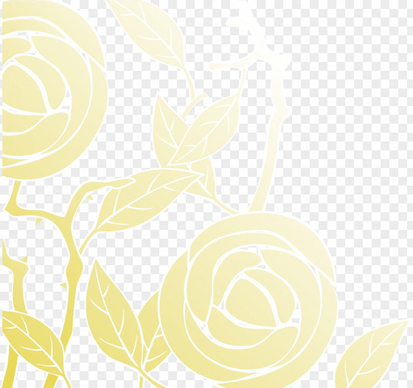 Yellow Rose Background Petal Drawing Flora Pattern PNG