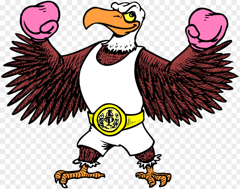 Eagle Beak Cartoon Sport Clip Art PNG