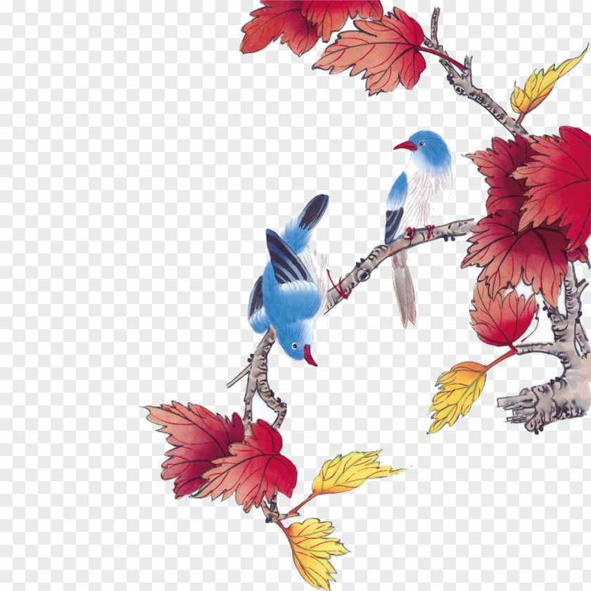 Birds In The Branches U4e2du56fdu753bxb7u82b1u9e1f Chinese Painting Bird-and-flower Gongbi PNG