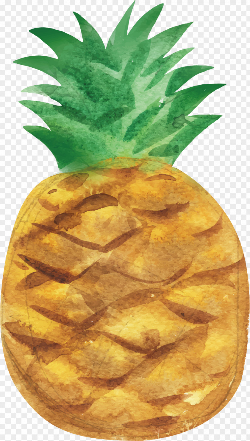 Hand-painted Pineapple Watercolor Painting Fruit PNG