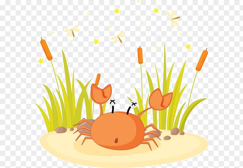 Crab Free Vector Graphics Stock Photography Illustration Royalty-free Drawing PNG