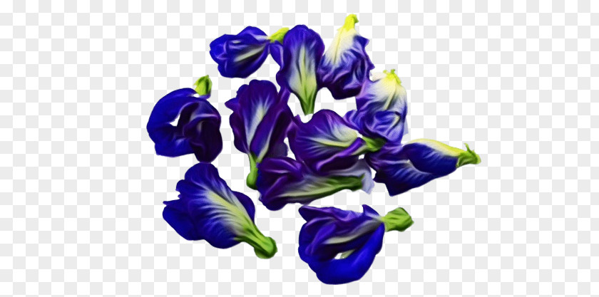 Cut Flowers Violet Cobalt Blue / M Petal PNG