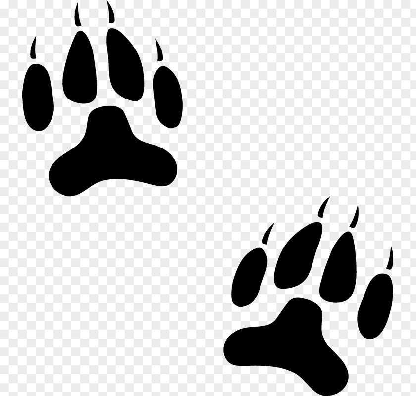 Dog Paw Cat Animal Track Clip Art PNG