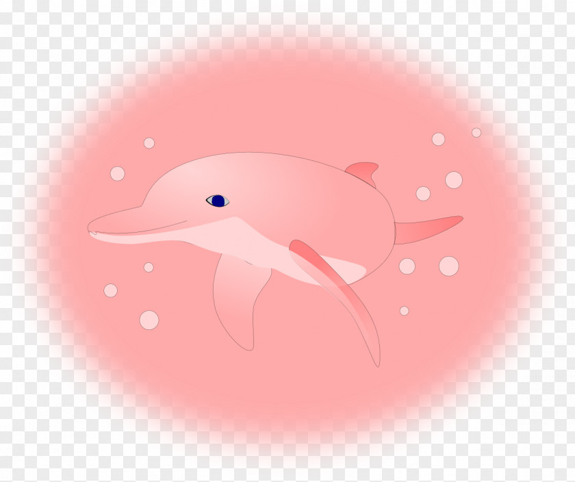 Dolphin Amazon River Desktop Wallpaper Pink+Dolphin Clothing PNG