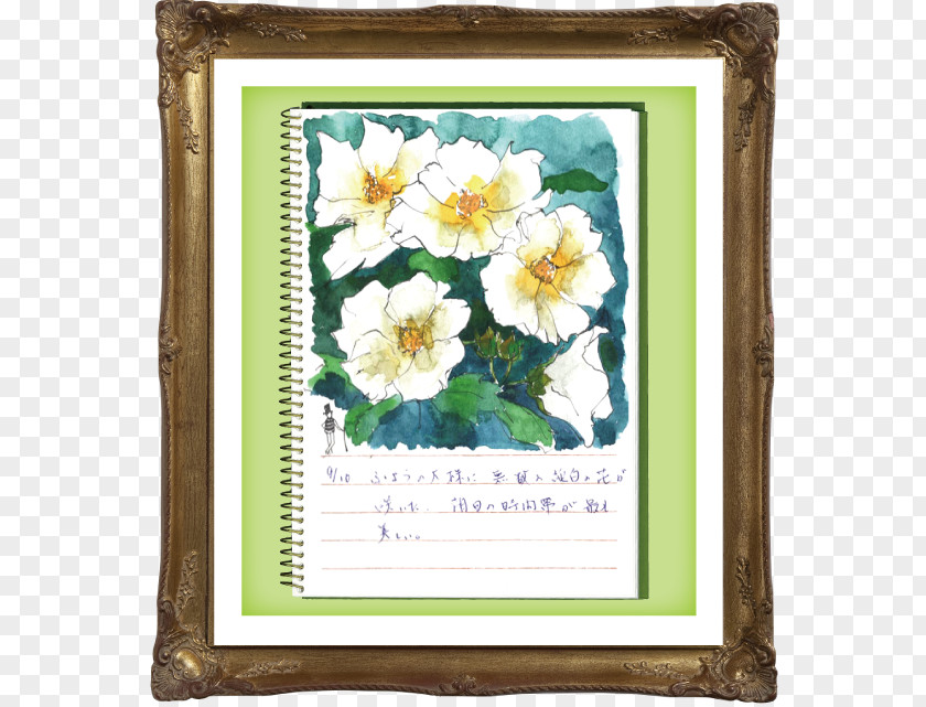 Flower Picture Frames Rectangle PNG