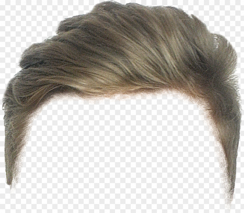 Hair Hairstyle PNG