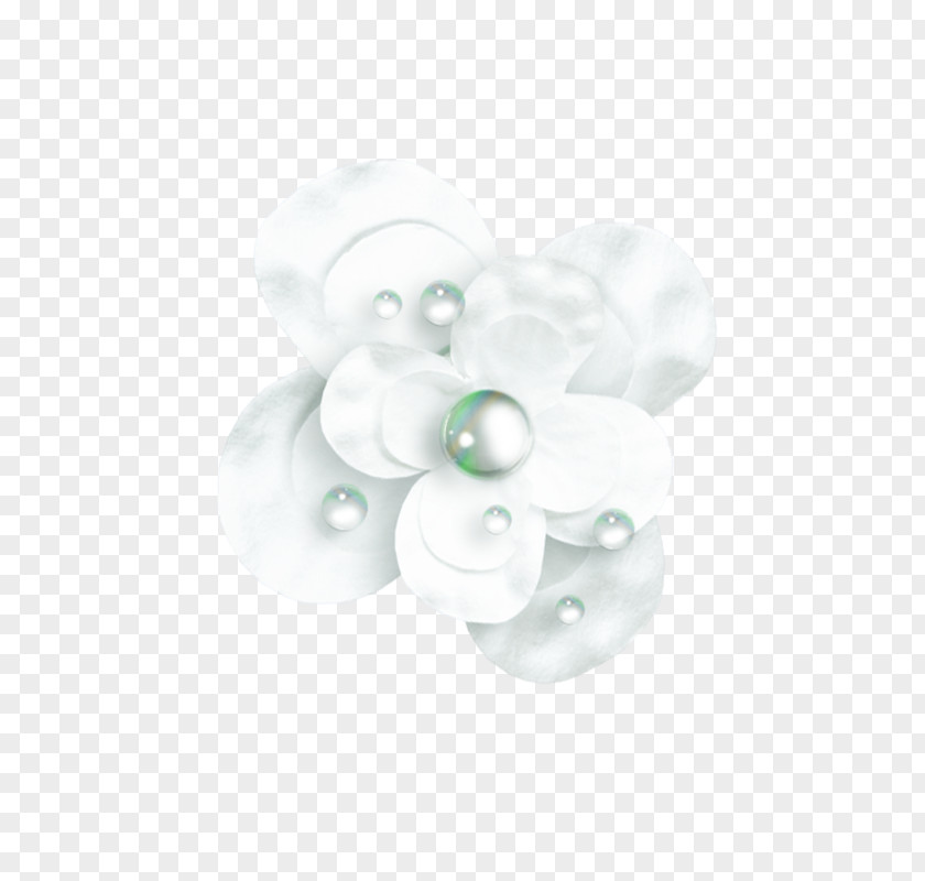 Jewellery Pearl Body PNG