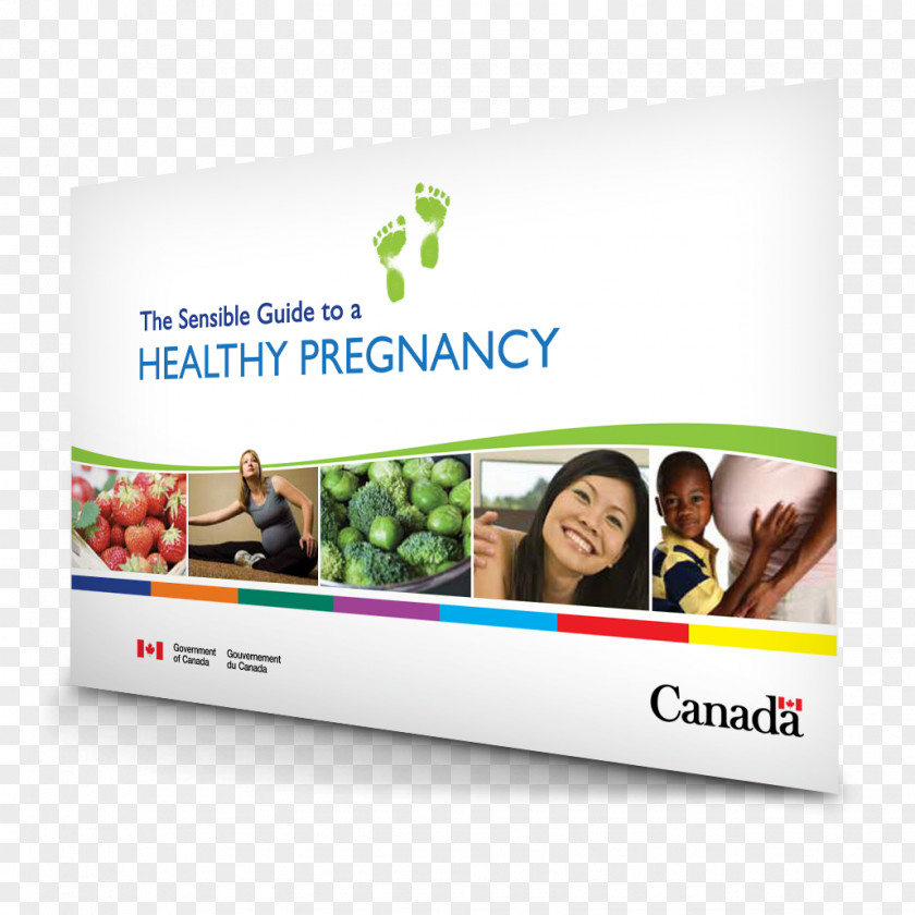 Pregnancy The Sensible Guide To A Healthy Canada's Food Nutrition And PNG