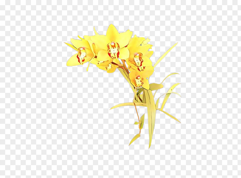 Tagetes Petal Flower Flowering Plant Yellow PNG