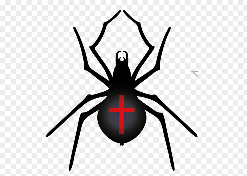 Spider Halloween Film Series Clip Art PNG