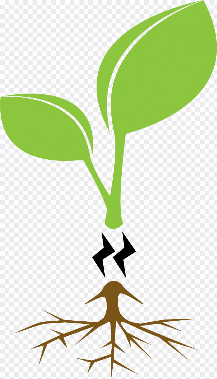 Floating Leaves Tree Animation Clip Art PNG