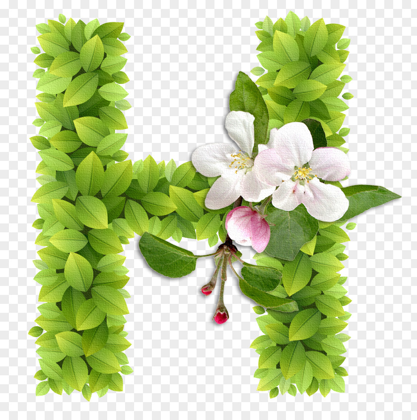 Flowers Letter Alphabet C PNG