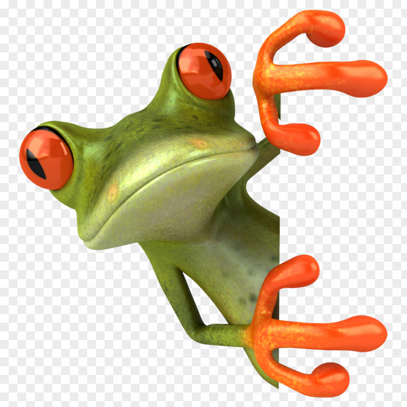 Frog Royalty-free Drawing Clip Art PNG