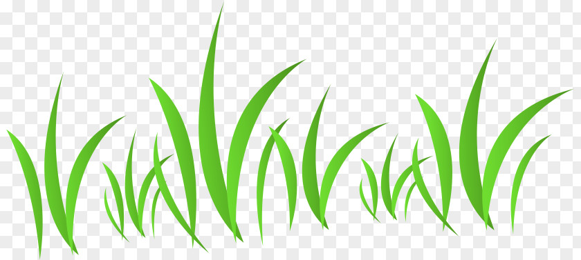 Grass Download PNG