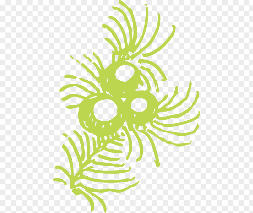 Green Spider Abstract Pattern Sticky Clip Art PNG