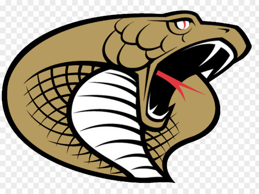 Snake Carolina Cobras Arena Football League Panthers PNG