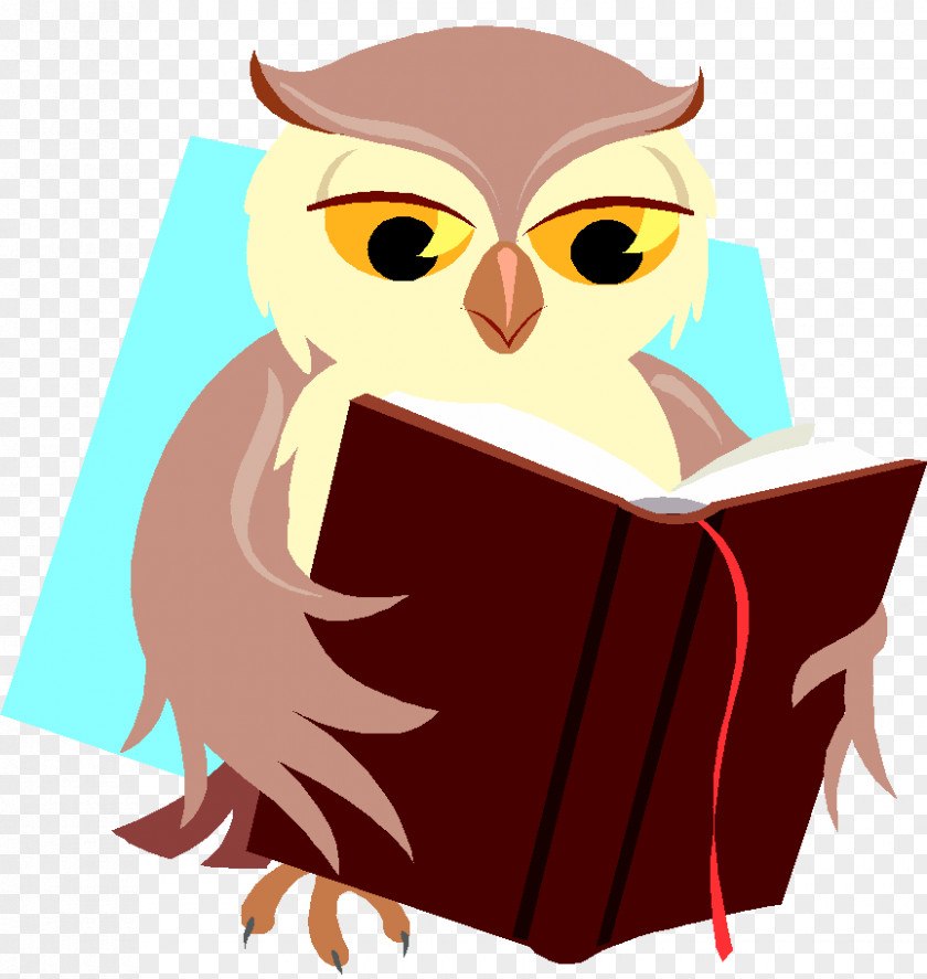 Baby Owls Book Reading PNG Reading, owl clipart PNG
