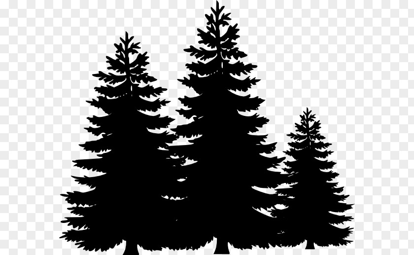 Black Trees Cliparts Pine Tree Fir Clip Art PNG