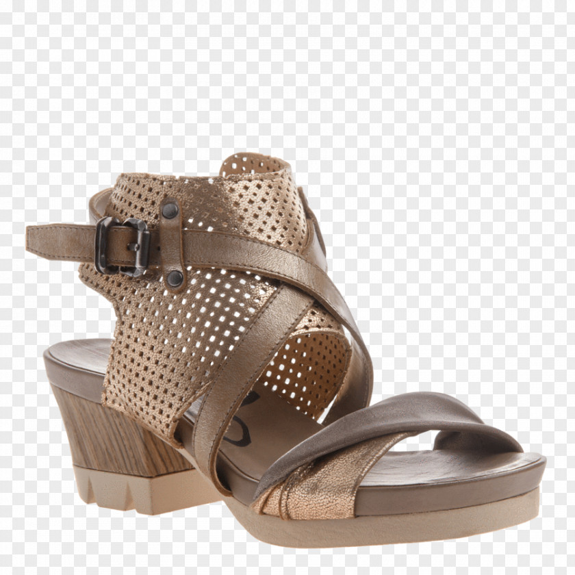 Block Heels Sandal Shoe Heel Sneakers Fashion PNG
