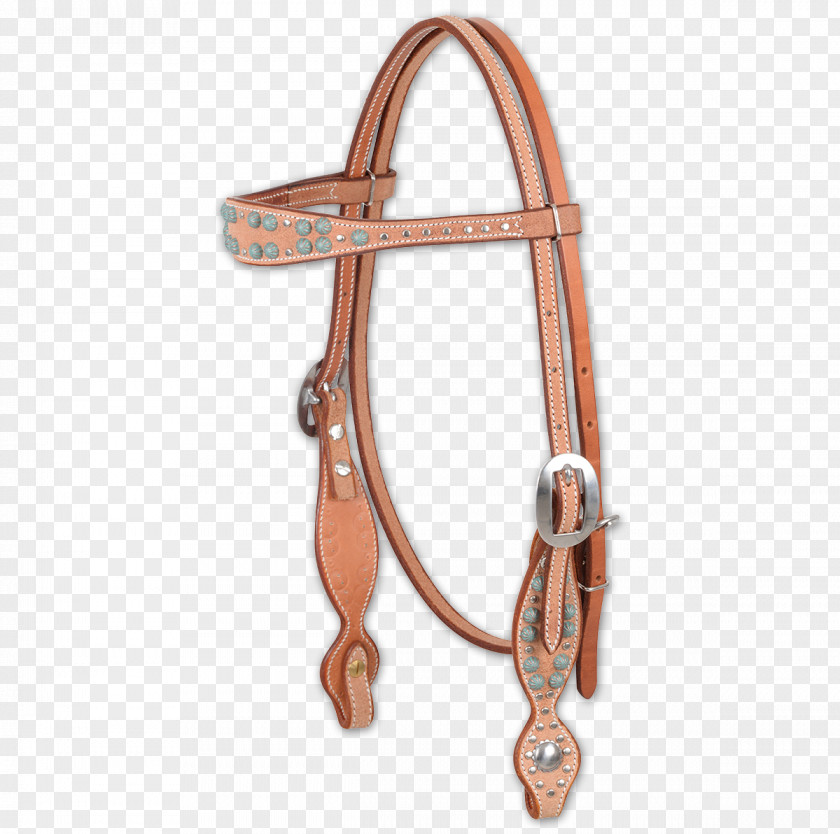 Bridle Leash PNG