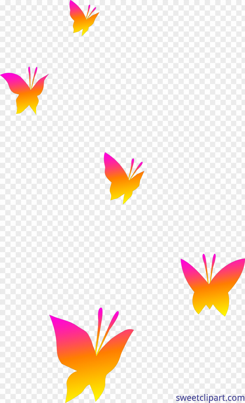 Butterfly Clip Art Image Vector Graphics PNG