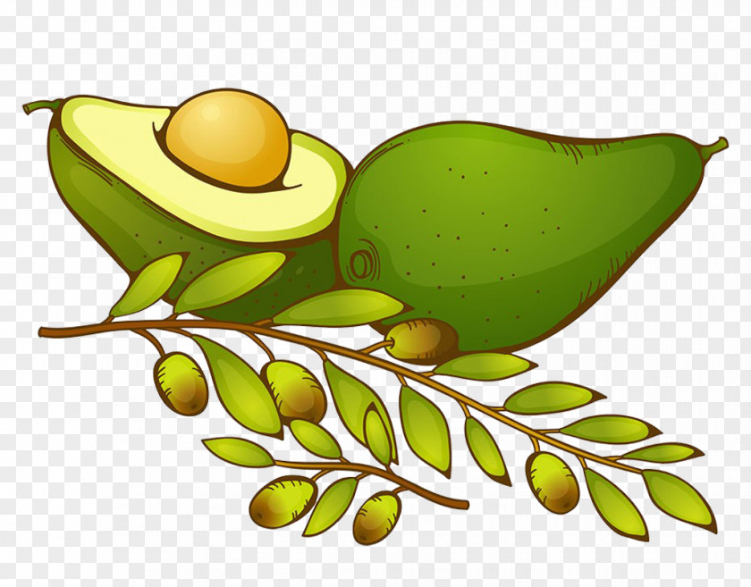 Cut Olives Avocado Clip Art PNG
