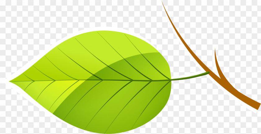 Fresh Green Leaves Leaf Euclidean Vector Download PNG