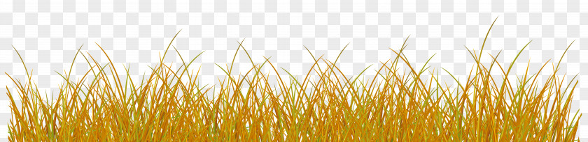 Grassland Autumn Wheat Clip Art Image PNG