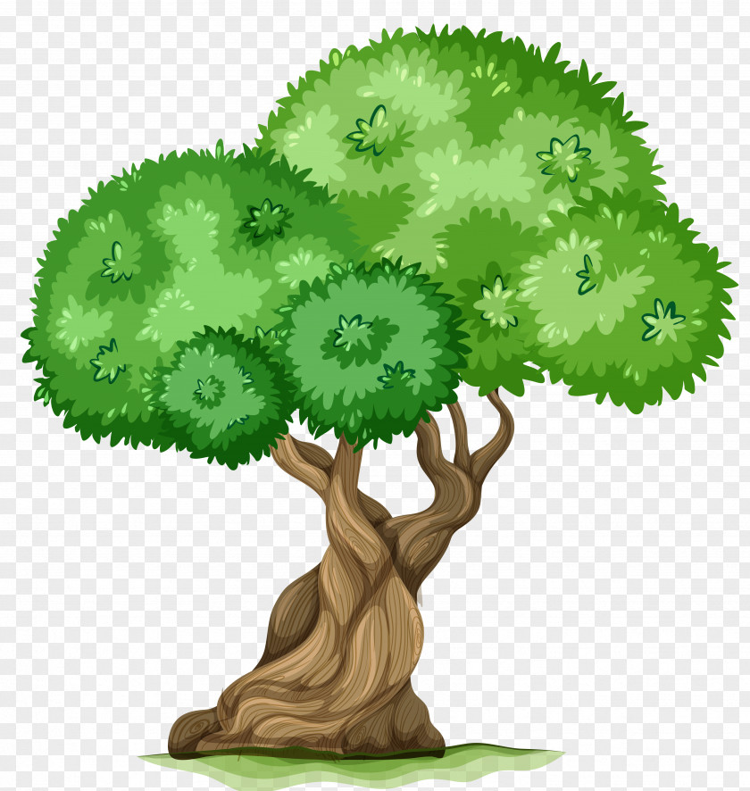 Tree Clipart Picture Fishing Stock Photography Clip Art PNG