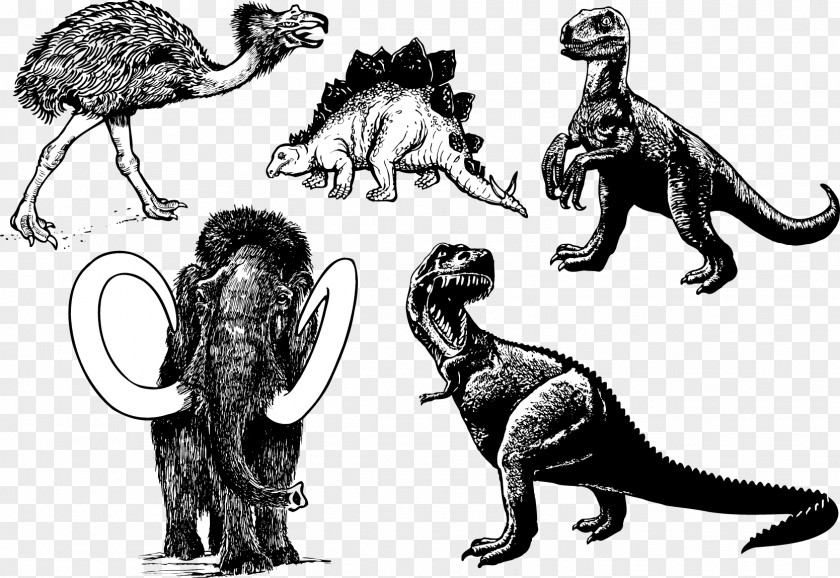Vector Dinosaurs Tyrannosaurus Prehistory Stegosaurus Woolly Mammoth PNG