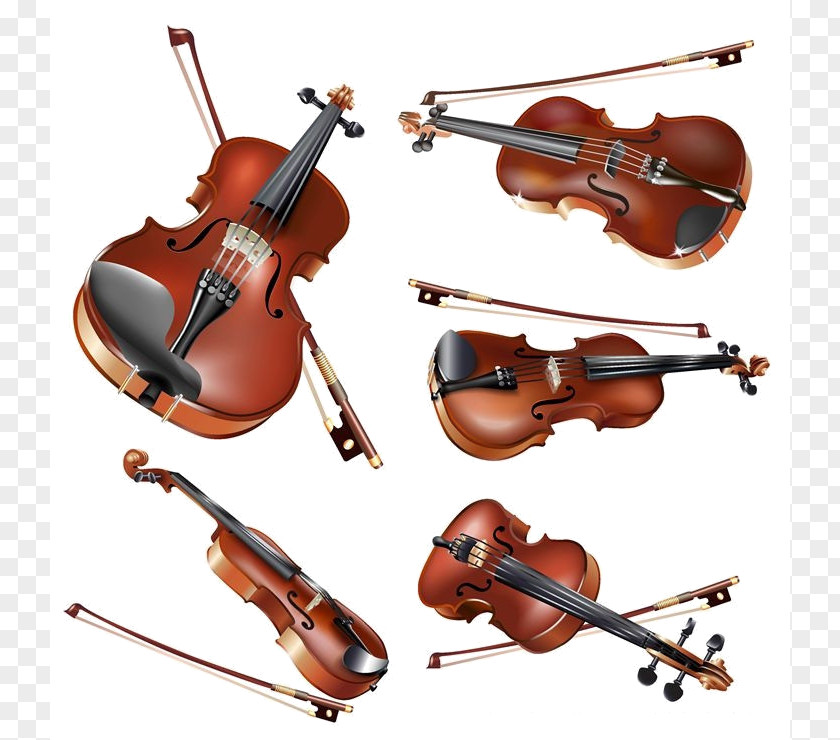Violin Musical Instruments Vector Graphics Image PNG