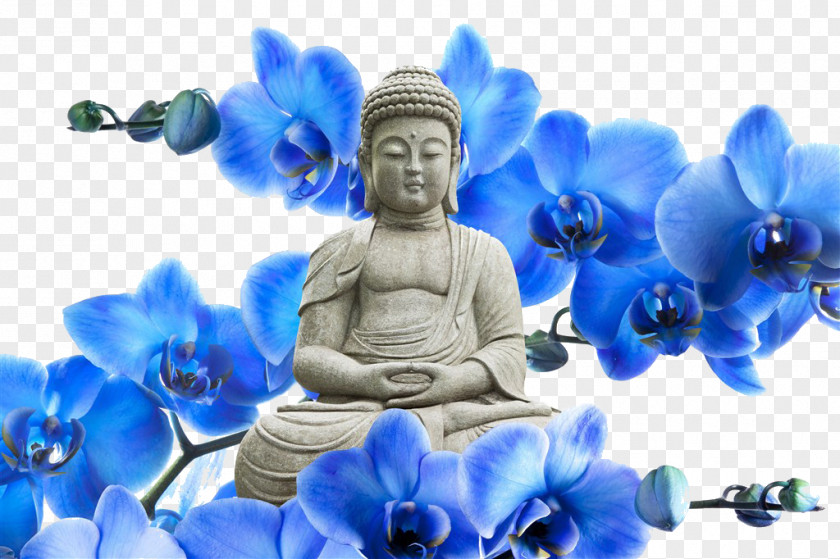Buddha Under A Blue Petal Park Orchids Buddhism Zen Painting PNG