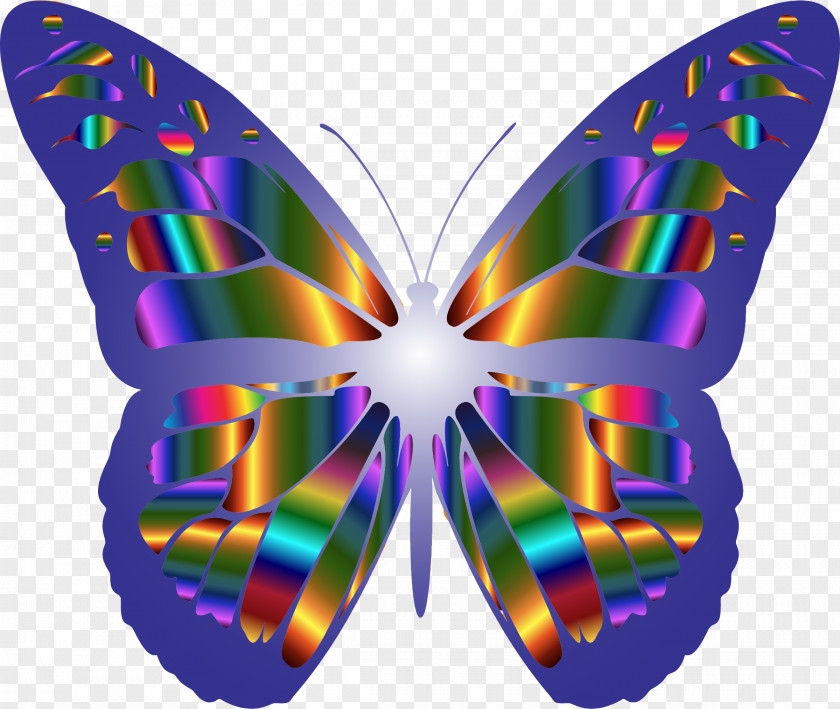 Butterflay Monarch Butterfly Clip Art PNG